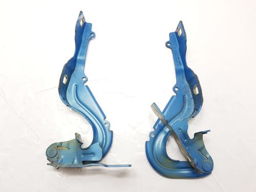 Used Hinge/Door check strap CITROËN C3 III (SX) 1.6 BlueHDi 75 (75 hp) 29984337