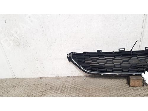 Grill CITROËN C3 II (SC_) 1.2 VTi 82 | BP39174821C40 - Image 2