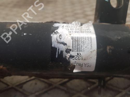 Left front shock absorber DS DS 3 (SA_) 1.6 BlueHDi 100 (SABHY0, SABHYT) | BP29492594M16