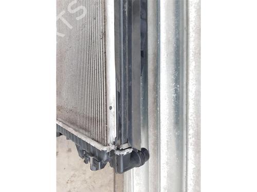 Water radiator CUPRA FORMENTOR (KM7, KMP)  | BP29738000M31