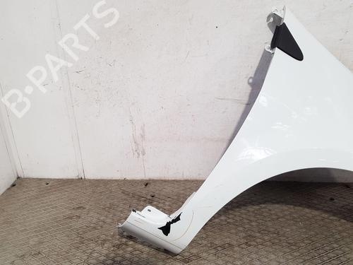 Right front fenders RENAULT CLIO III (BR0/1, CR0/1) 1.2 16V (BR02, BR0J, BR11, CR02, CR0J, CR11) | BP27166990C42 