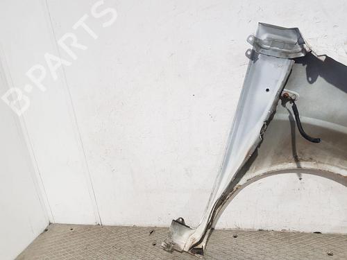 Left front fenders CITROËN NEMO Box Body/MPV (AA_) 1.3 HDi 75 | BP29549415C41 