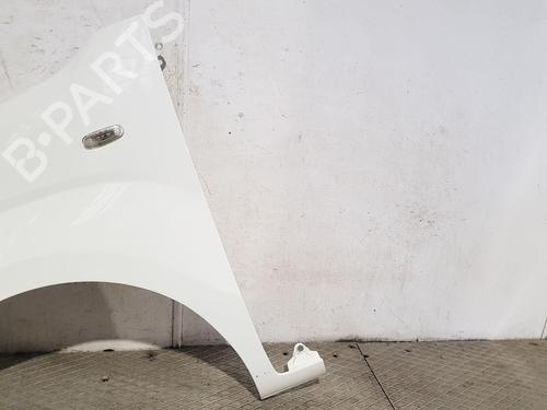 Left front fenders CITROËN NEMO Box Body/MPV (AA_) 1.3 HDi 75 | BP29549415C41 