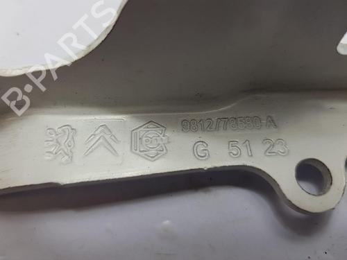 Hinge/Door check strap CITROËN C3 / C3 ORIGIN III (SX) 1.2 THP 110 | BP27886538C146 