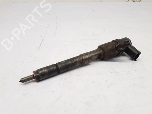 Injector FIAT DOBLO Platform/Chassis (263_) 1.3 D Multijet | BP30290396M100 
