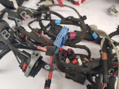 Wiring harness TESLA MODEL 3 (5YJ3) EV AWD | BP33559349E16 - Image 6