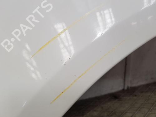 Left front fenders SKODA FABIA II Combi (545) 1.6 TDI | BP28501101C41 