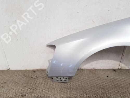 Left front fenders VW PASSAT B6 (3C2) 1.9 TDI | BP26569773C41 
