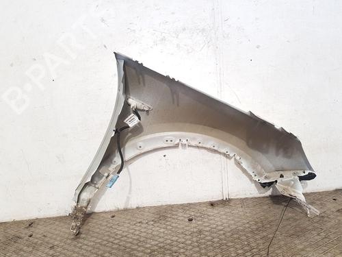 Left front fenders OPEL GRANDLAND / GRANDLAND X (A18, P1UO) 1.6 Turbo D (75) | BP29045099C41 