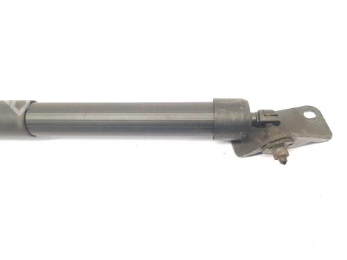 Tailgate lift support OPEL GRANDLAND / GRANDLAND X (A18, P1UO) 1.6 Turbo D (75) | BP29575759C138 