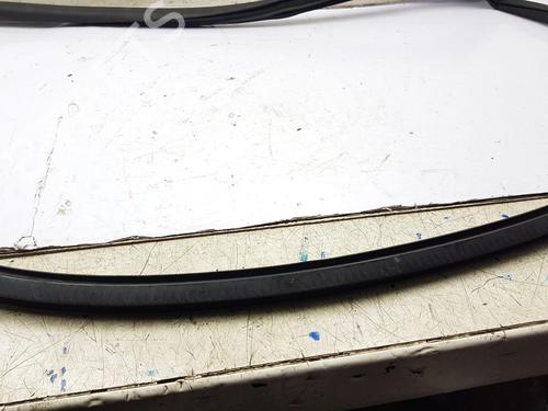 Rubber door seal AUDI R8 (4S3, 4SP) 5.2 FSI Plus quattro | BP22683408C142