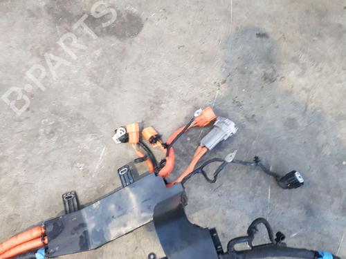 Wiring harness FORD KUGA III (DFK) | BP31819876E16