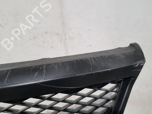 Grille FORD FIESTA V (JH_, JD_) ST150 | BP24173101C40 