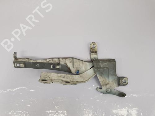Hinge/Door check strap RENAULT CLIO IV (BH_) 1.5 dCi 90 | BP27974904C146 