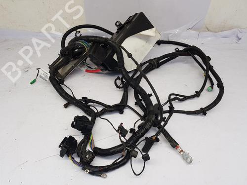 Wiring harness LOTUS EMIRA 3.5 | BP32787251E16  - Image 18