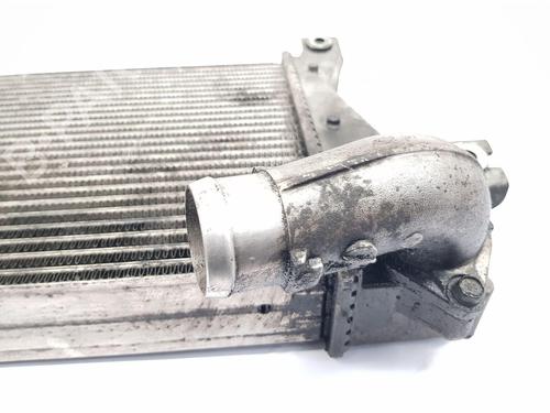 Intercooler NISSAN X-TRAIL I (T30) 2.2 dCi 4x4 | BP28137215M30 