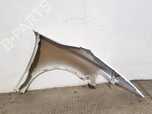 Left front fenders CITROËN C4 Picasso II 1.6 BlueHDi 120 | BP27811354C41 