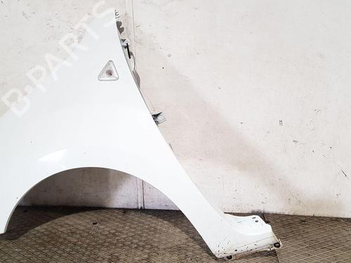 Left front fenders RENAULT KANGOO Express (FW0/1_) 1.5 dCi 75 (FW07, FW10, FW04) | BP22206883C41 