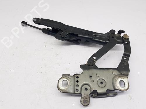 Hinge/Door check strap BMW 3 (F30, F80) 318 d | BP29984273C146