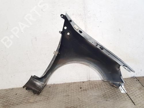 Left front fenders RENAULT CLIO III (BR0/1, CR0/1) 1.2 16V (BR02, BR0J, BR11, CR02, CR0J, CR11) | BP27166786C41 