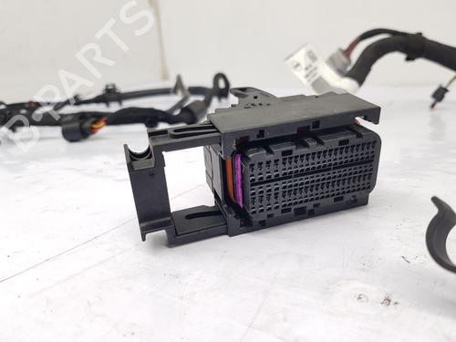 Wiring harness VW POLO VI (AW1, BZ1, AE1)  | BP29262784E16 