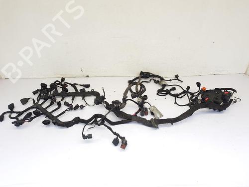 Used Wiring harness BENTLEY CONTINENTAL FLYING SPUR (3W_) 6.0 (560 hp) 30689981