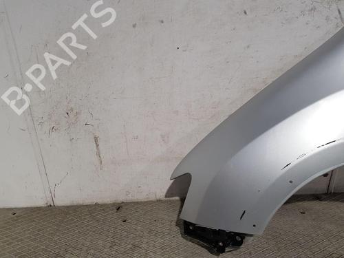 Left front fenders DACIA SANDERO II 1.5 dCi | BP29379130C41 