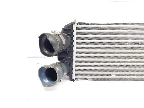 Intercooler PEUGEOT 2008 II (UD_, US_, UY_, UJ_, UR_, UC_) 1.2 PureTech 130 (USHNS, URHNS) | BP29292623M30 