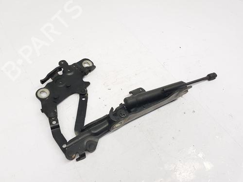 Hinge/Door check strap BMW 3 (F30, F80) 318 d | BP29984273C146