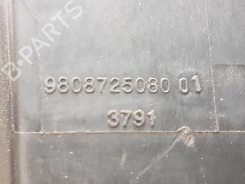 Fuel flap CITROËN JUMPY III Van (V_) 1.6 BlueHDi 95 | BP22206635C131 