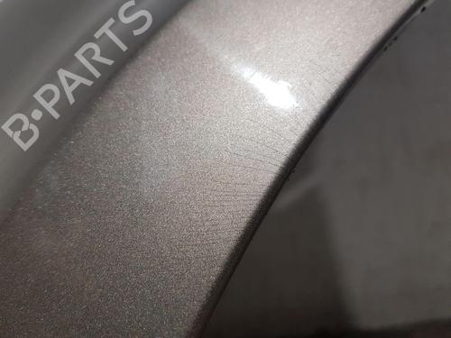 Left front fenders RENAULT CLIO III (BR0/1, CR0/1) 1.5 dCi (BR17, CR17) | BP30309687C41 