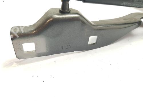 Hinge/Door check strap ALFA ROMEO GIULIA (952_)  | BP23966196C146 