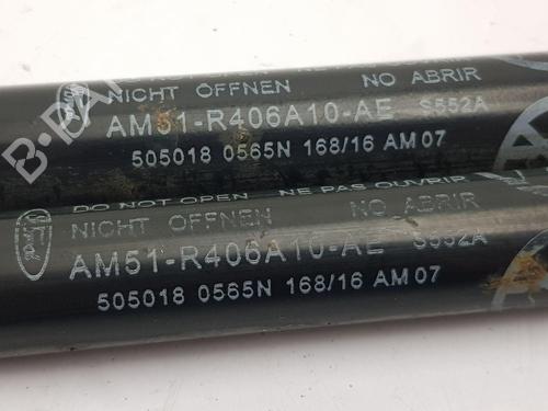 Tailgate lift support FORD C-MAX II (DXA/CB7, DXA/CEU) | BP30364799C138