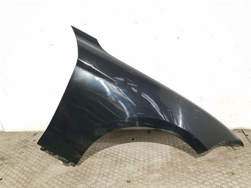 Used Right front fenders BMW 1 (F20) 116 d (116 hp) 29167693