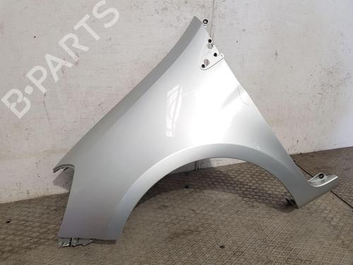 Left front fenders RENAULT CLIO III (BR0/1, CR0/1) 1.2 16V (BR02, BR0J, BR11, CR02, CR0J, CR11) | BP27166786C41 