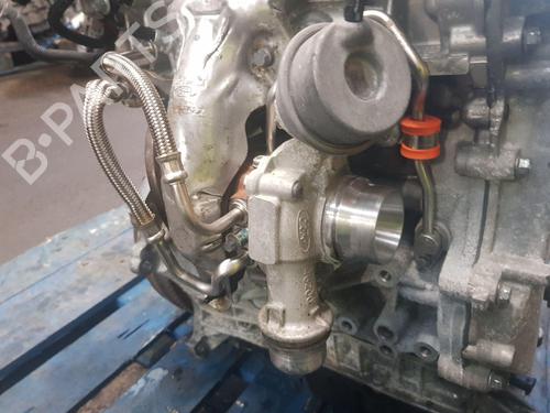 Engine FORD PUMA (J2K, CF7)  | BP31663774M1 