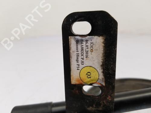 Hinge/Door check strap MCLAREN 720S 4.0 | BP37240688C146 - Image 5