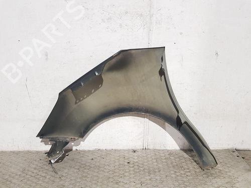 Right front fenders CITROËN C3 II (SC_) 1.6 HDi | BP23140290C42 