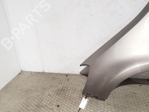 Left front fenders RENAULT CLIO III (BR0/1, CR0/1) 1.5 dCi (BR17, CR17) | BP30309687C41 