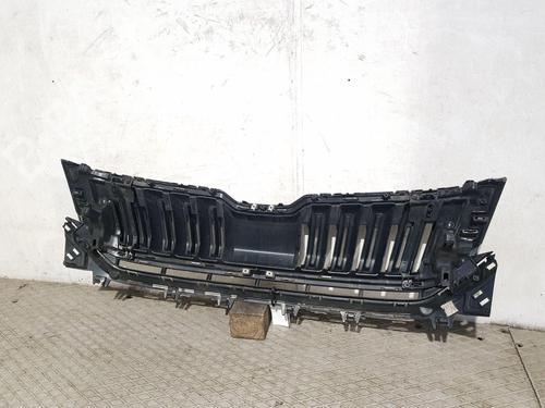 Grille SKODA KODIAQ I (NS6, NS7, NV7) 2.0 TDI 4x4 | BP30264613C40 