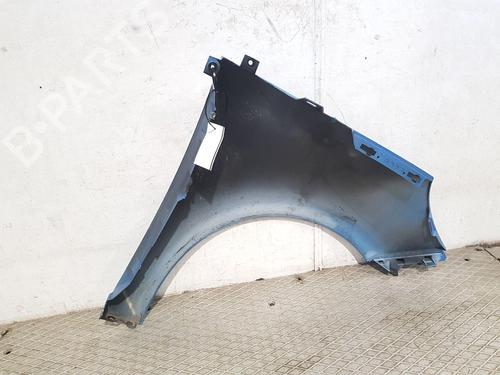 Left front fenders RENAULT SCÉNIC III (JZ0/1_) 1.5 dCi | BP29440354C41 
