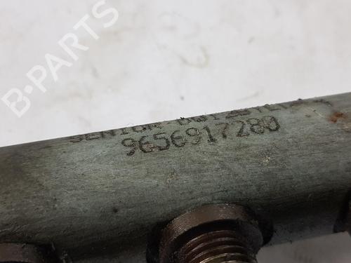 Injection rail LAND ROVER FREELANDER 2 (L359) 2.2 TD4 4x4 | BP30290394M98 