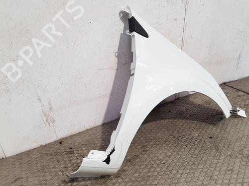 Right front fenders RENAULT CLIO III (BR0/1, CR0/1) 1.2 16V (BR02, BR0J, BR11, CR02, CR0J, CR11) | BP27166990C42 