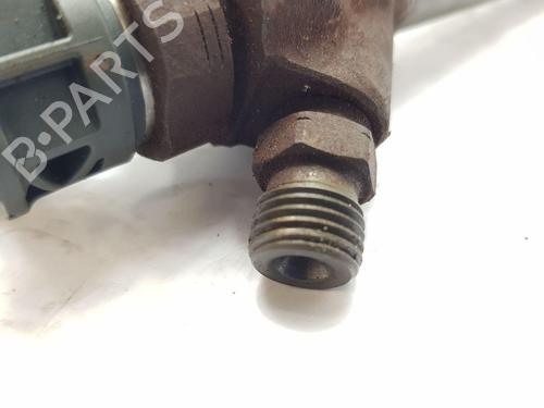 Injector LAND ROVER RANGE ROVER EVOQUE (L538) 2.0 D | BP29492941M100 
