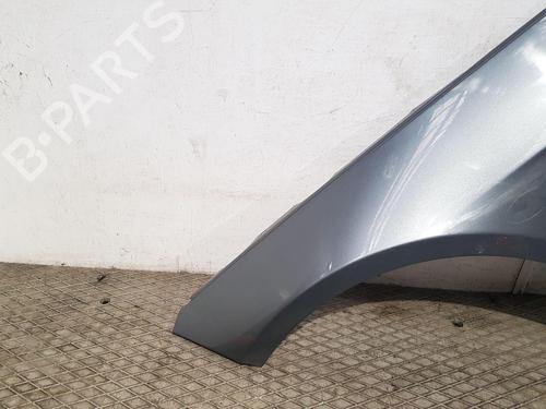Left front fenders MERCEDES-BENZ E-CLASS (W212) E 220 BlueTEC (212.001) | BP28482845C41 