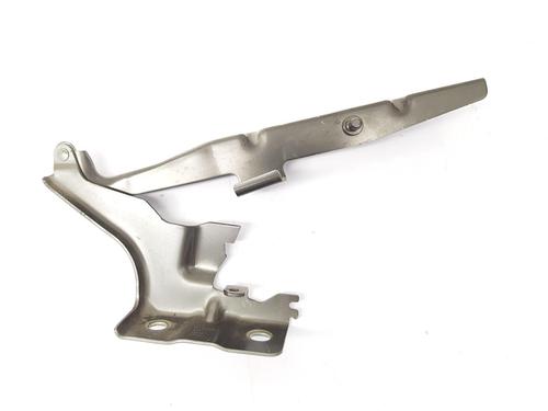 Hinge/Door check strap VOLVO XC60 II (246) T8 Hybrid AWD | BP29984393C146 