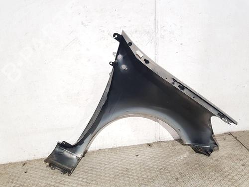 Left front fenders RENAULT CLIO III (BR0/1, CR0/1) 1.5 dCi (BR17, CR17) | BP30309687C41 