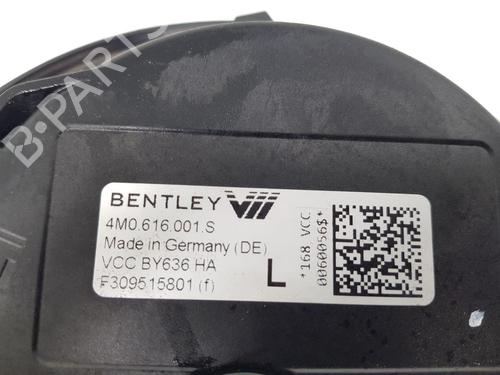 Left rear shock absorber BENTLEY BENTAYGA (4V1) 6.0 | BP22678497M18 