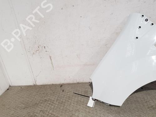 Left front fenders RENAULT TWINGO II (CN0_) 1.2 16V (CN04, CN0B) | BP29467573C41 