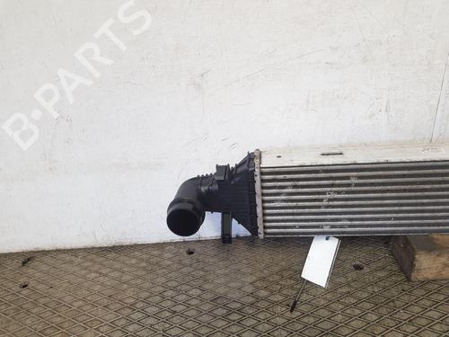 Intercooler MERCEDES-BENZ E-CLASS Coupe (C207) E 250 CDI / BlueTEC / d (207.303, 207.304) | BP22206360M30 